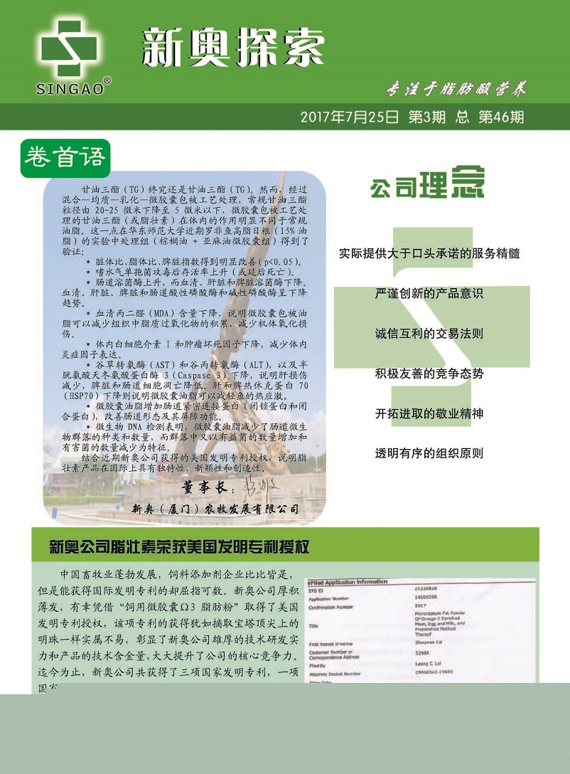 哈尔滨_2025澳门天天开好彩大全最新版本,警惕透析详细解答、解释与落实